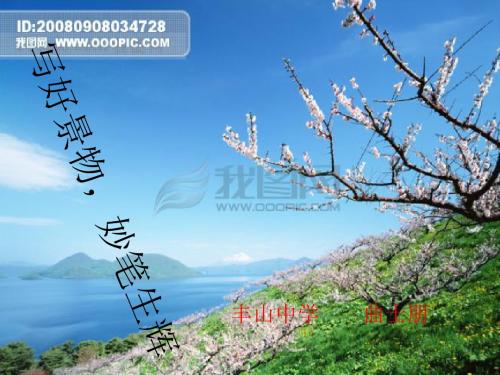 写好景物,妙笔生花 PPT课件