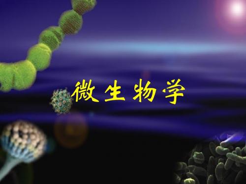 微生物的营养和培养基