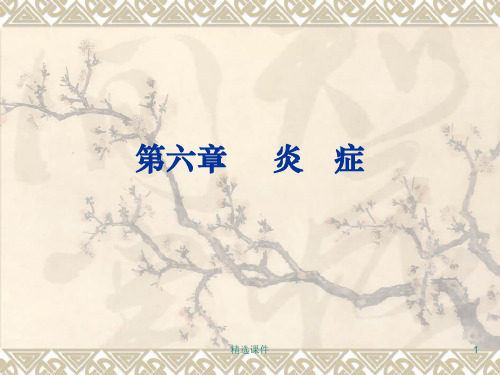 病理学第四章 炎症PPT课件