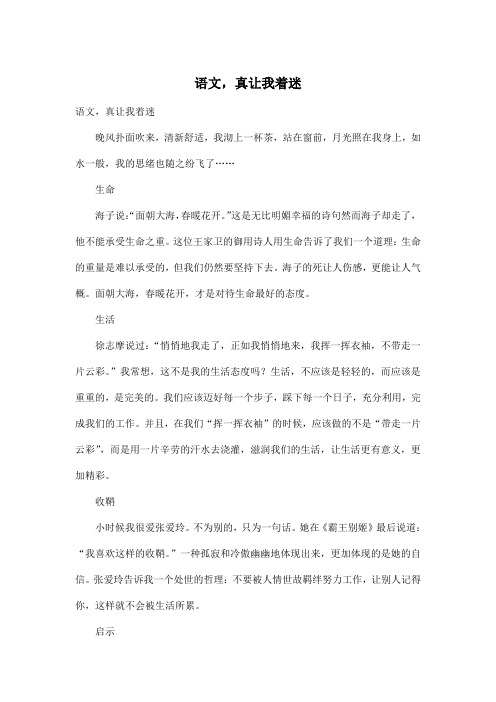 语文,真让我着迷_初中初一作文600字