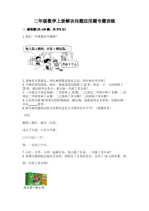二年级数学上册解决问题应用题专题训练-标准卷
