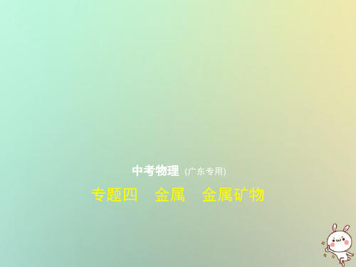 (广东专用)中考化学复习 专题四 金属 金属矿物(试卷部分)