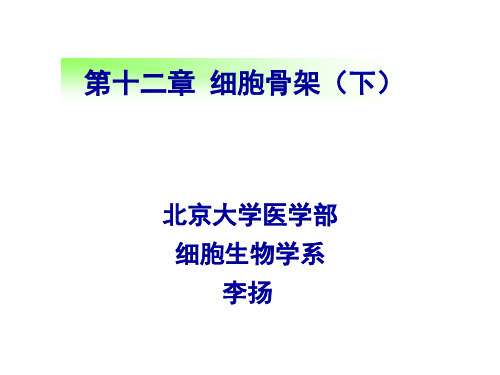 6_第十二章 细胞骨架(下)