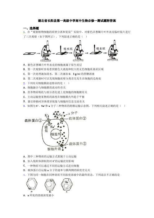 湖北省长阳县第一高级中学高中生物必修一测试题附答案