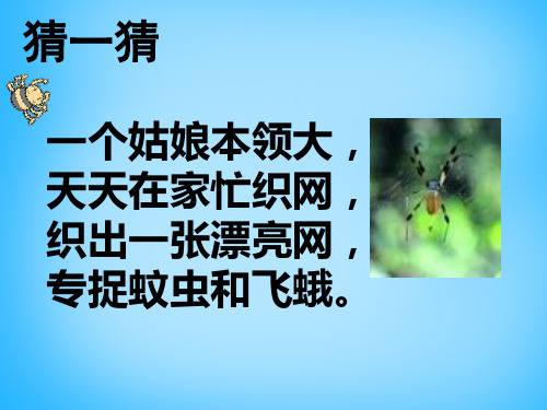(完整)一级上语文课件蜘蛛织网语文A版精品PPT资料精品PPT资料