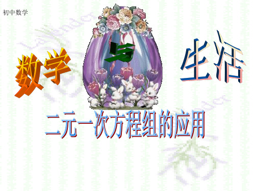 二元一次方程组解决实际问题