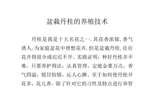 盆栽丹桂的养殖技术