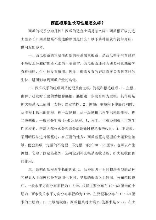 西瓜根系生长习性是怎么样？