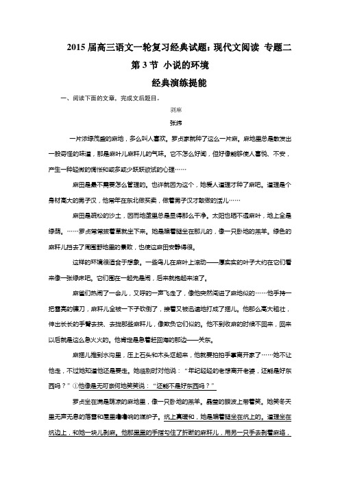高三语文一轮复习经典试题：现代文阅读 专题二 第3节 小说的环境.doc
