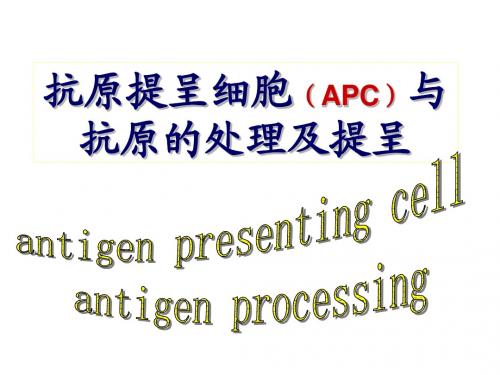 11章APC及抗原处理与提呈