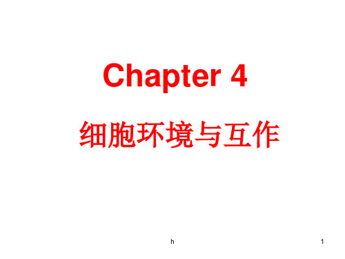 细胞生物学--第四章 细胞环境与互作