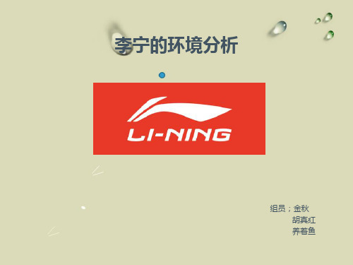 李宁环境分析