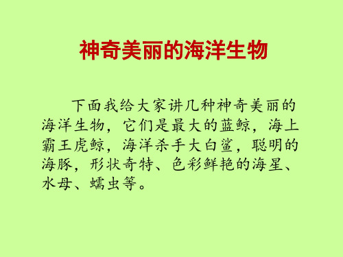 神奇美丽的海洋生物