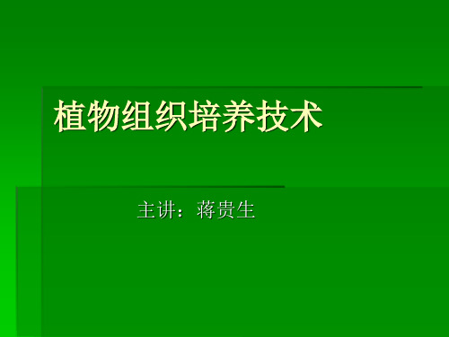 【工作总结】植物组织培养技术ppt模版课件