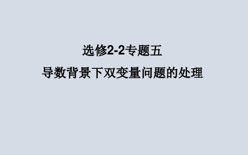 选修2-2 专题五导数背景下双变量问题的处理