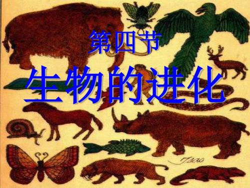 九年级科学下册1.4生物的进化课件4(新版)浙教版