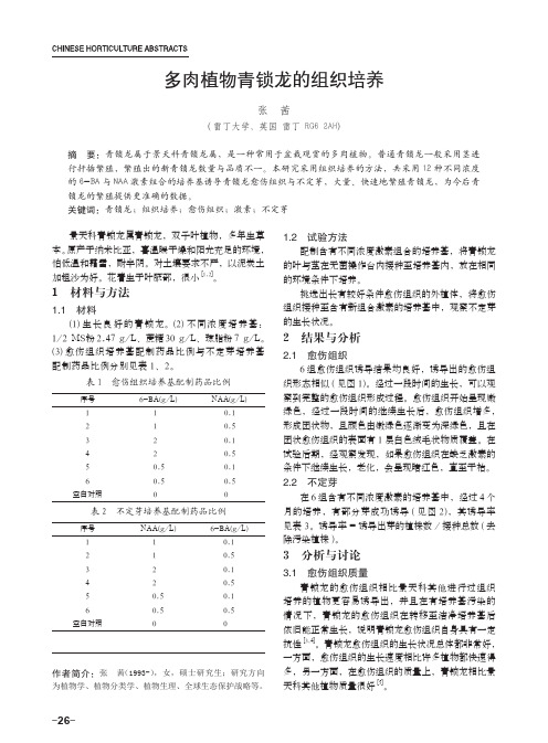 多肉植物青锁龙的组织培养