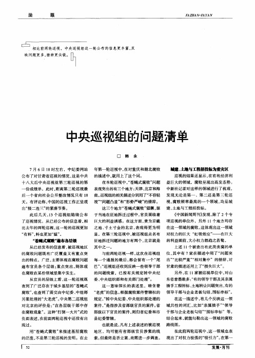 中央巡视组的问题清单
