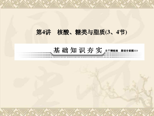 【创新导学案】高考生物一轮总复习 第4讲 核酸、糖类与脂质课件 新人教版