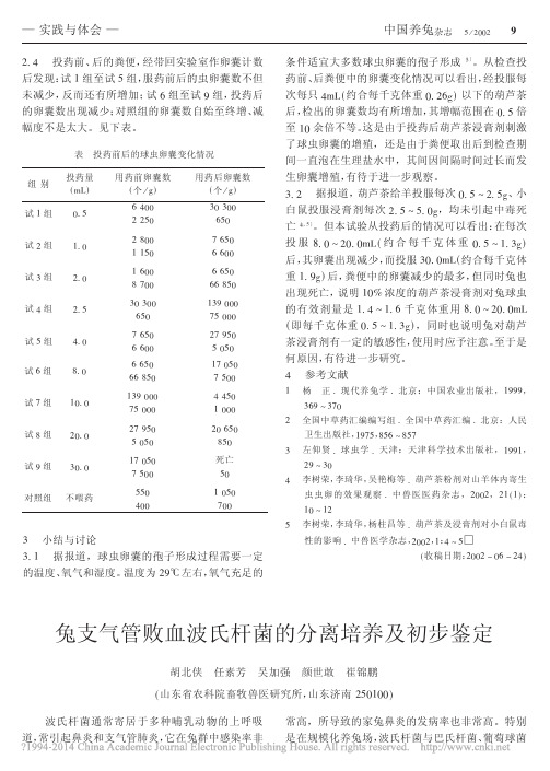 兔支气管败血波氏杆菌的分离培养及初步鉴定_胡北侠