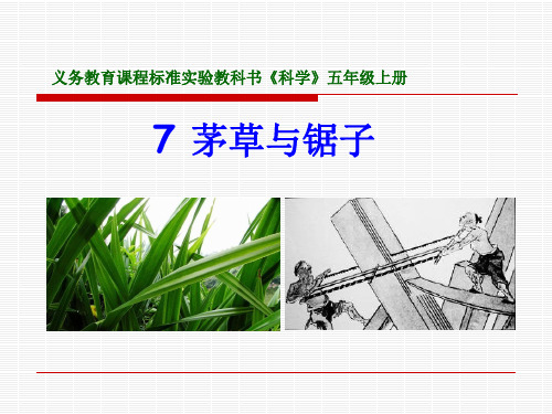 五年级上册科学课件-7茅草与锯子 ｜鄂教版  (共22张PPT)