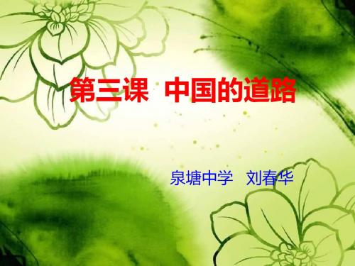 人民版思想品德九年级第三课复习课件