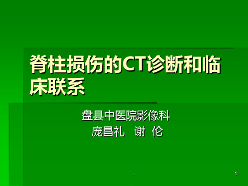 脊柱损伤的CT诊断PPT课件