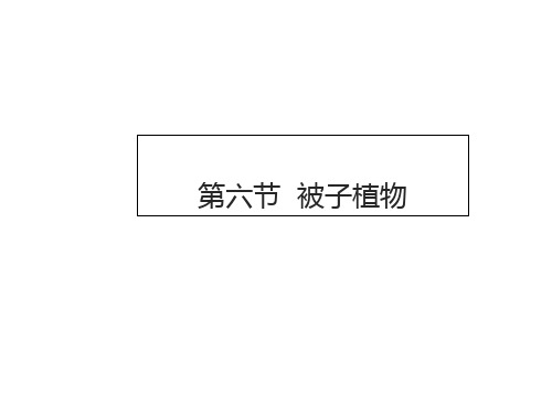 初中生物冀少版七年级上册被子植物