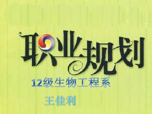 王佳丽规划