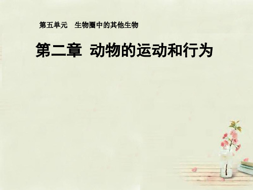 【最新名师精品】人教初中生物八上《第5单元 第2章 第1节 动物的运动》PPT课件 (38).ppt