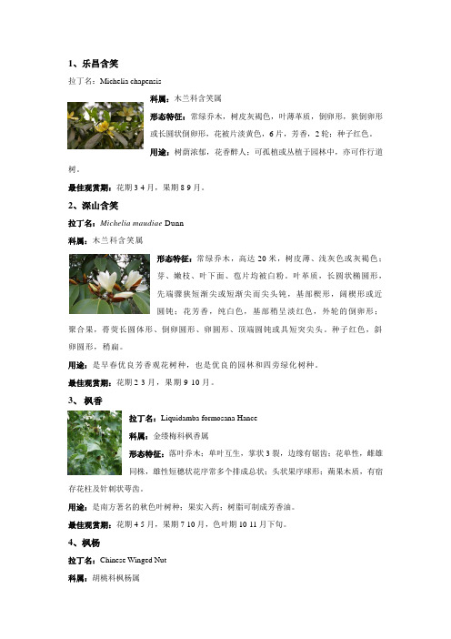 植物名录表