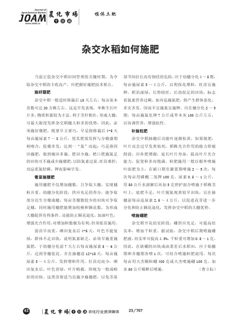杂交水稻如何施肥