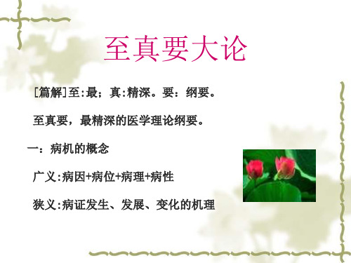《素问·至真要大论》