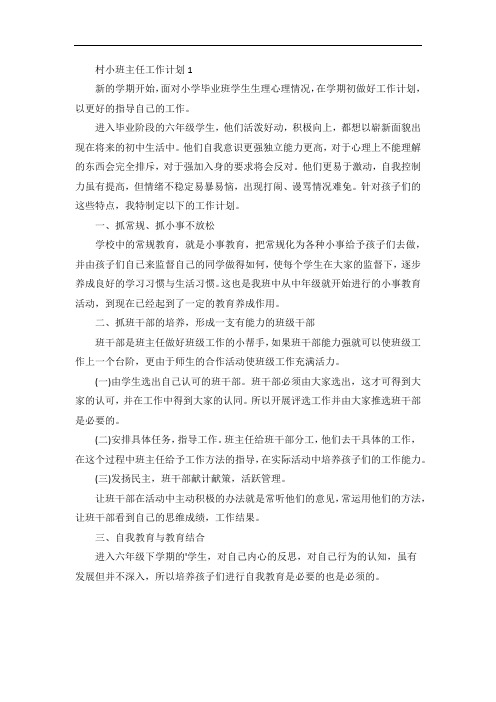 村小班主任工作计划5篇