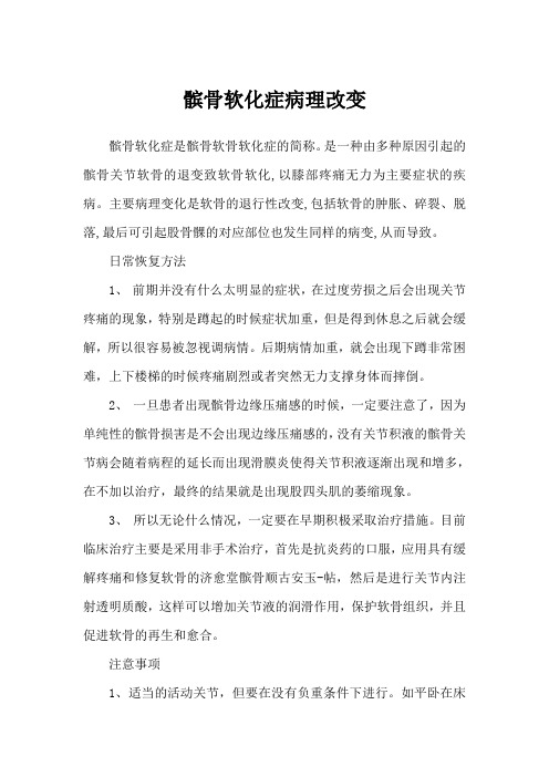 髌骨软化症病理改变