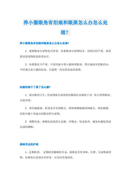 养小猫眼角有泪痕和眼屎怎么办怎么处理？