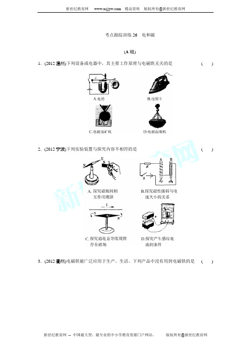 2014年浙江省中考科学第一轮复习第26课电和磁(ppt word练习)