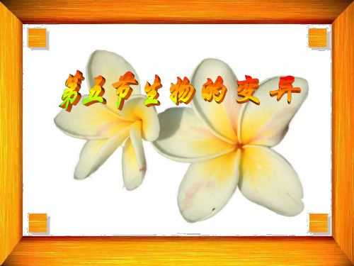 变异PPT课件
