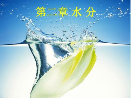 第二章 水分
