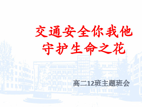交通安全你我他-守护生命之花 高中主题班会课件