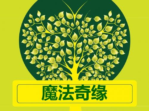 魔法奇缘
