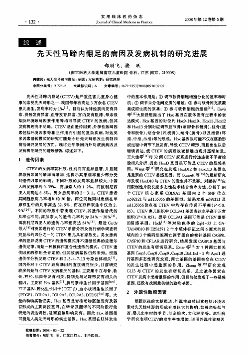 先天性马蹄内翻足的病因及发病机制的研究进展