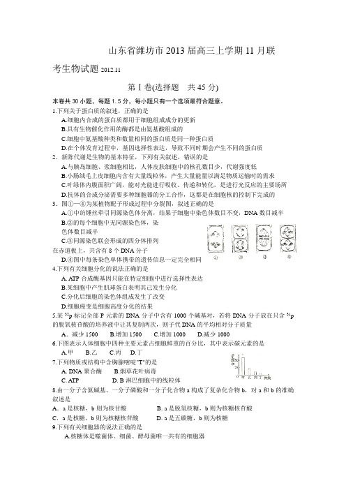 山东省潍坊市2013届高三上学期11月联考生物试题