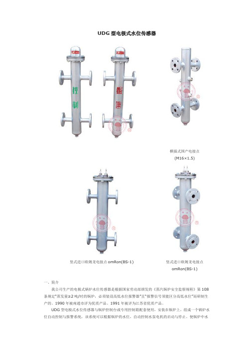 UDG型电极式水位传感器