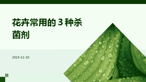 花卉常用的3种杀菌剂