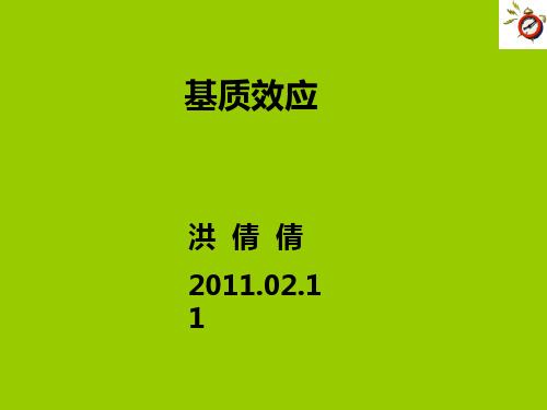 基质效应