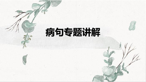 病句讲解+课件(共34张ppt)++2023年中考语文二轮专题