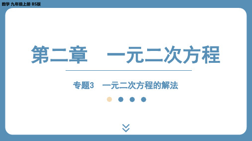 北师版九上数学专题3 一元二次方程的解法 课件