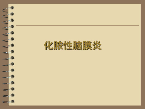 化脓性脑膜炎PPT课件