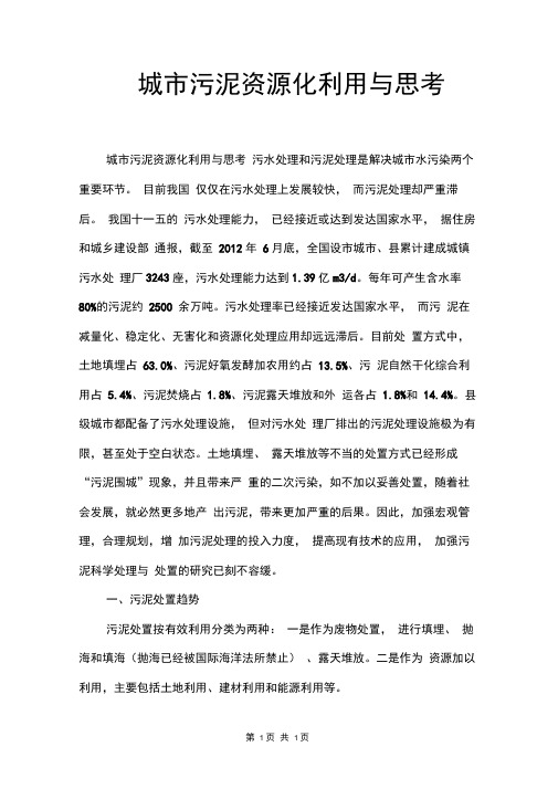城市污泥资源化利用与思考